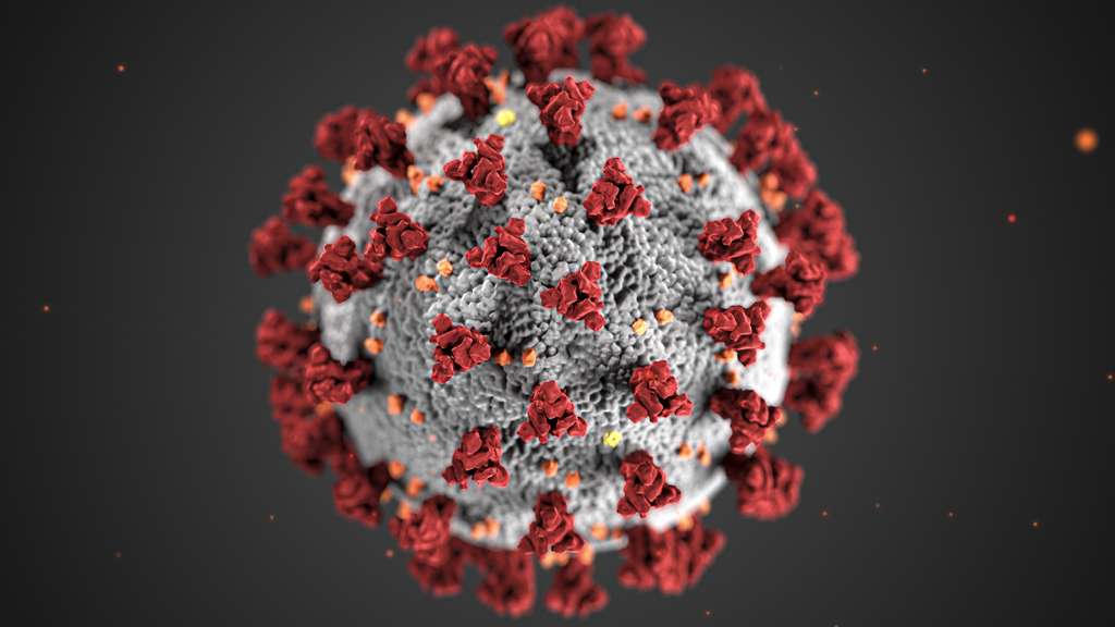 Covid 19 Coronavirus Covid Cell Pandemic Corona Virus 1608796 Pxhere.com 2